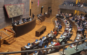 La Cámara de Representantes aprobó la adhesión de la provincia de Misiones al RIGI