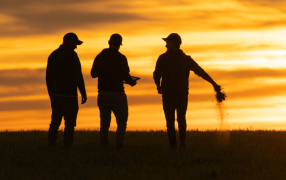 Empresas familiares en el agro: Los desafíos de la profesionalización y el recambio generacional