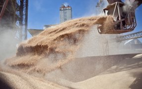 Las exportaciones de soja y maíz son las más bajas en 21 años