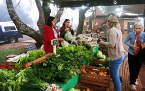 Sostenimiento de la economía hogareña: Las Ferias Francas es uno de espacios ideales en Apóstoles