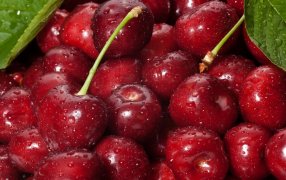 Cerezas: Chile vive una crisis histórica y en Mendoza toman nota para no cometer errores