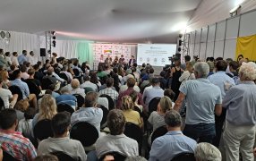 Nace Allaria Agronegocios, una nueva firma que operará con capital propio como acopiadora de granos