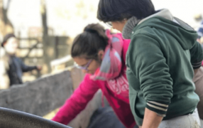 Por qué el 6 de Agosto se celebra el Día de la Enseñanza Agropecuaria