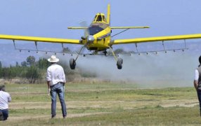 Los aviones pulverizadores se suman a la lucha contra el Dengue