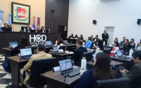 “Barrios más Verdes”: Concejales aprueban un Programa para fortalecer la infraestructura ambiental de Posadas