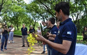 Ciudades con Orquídeas: Cerca de trescientas especies nativas plantadas en una plaza de la ciudad misionera de Leandro N. Alem