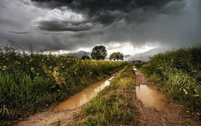 El Niño se activó, pero los vientos polares siguen “perturbándolo”