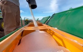 La Urea subió más del 10% en el mercado local y preocupa la volatilidad del precio de cara a la fina