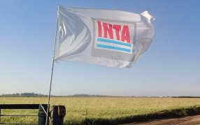 Un Diputado de Salta quiere quitarle hectáreas al INTA y desde el campo lo tildaron de “burro”