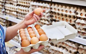 Ya se producen 550 huevos por segundo: La industria ovoavícola argentina vive un presente de alto vuelo