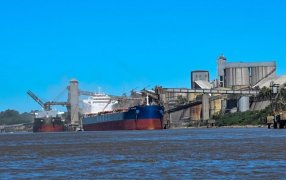 Salto de las exportaciones agroindustriales en Noviembre: Un 36% más en volumen que el mismo mes de 2024