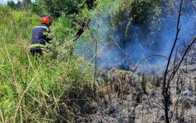 Misiones: Bomberos sofocaron un incendio de malezas en cercanías del Parque Industrial de Santa Ana