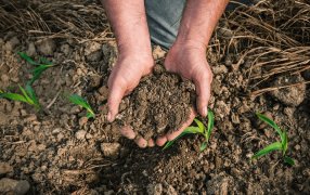 Polémica en el agro bonaerense por un Proyecto de Ley que busca regular el uso de suelos