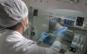 Noviembre Azul: El  Hospital Escuela de Agudos "Dr. Ramón Madariaga" en la ciudad misionera de Posadas,  tiene un abordaje integral del cáncer de próstata