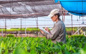 Biofábrica Misiones: Más del 80% de los puestos jerárquicos son ocupados por mujeres