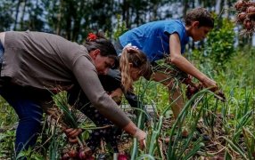 Con más de cincuenta comercios adheridos, y otros en proceso de adhesión, esta semana entra en vigencia el Programa Provincial Ahora Chacra para apoyar al agro misionero