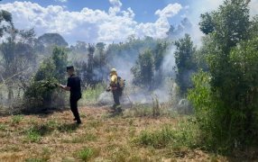 Controlaron un principio de foco ígneo en una zona de malezas en la ciudad de Leandro N. Alem
