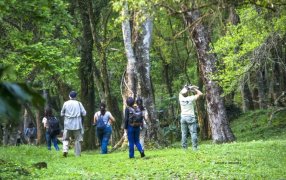 Entre senderos y aves: La ciudad de Oberá será escenario de una jornada para conectar con la naturaleza misionera