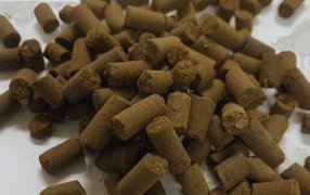 “Revoluciona el manejo”: En Cuyo crearon un biofertilizante en forma de pellets y a base de compost
