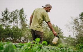 La ciencia misionera desarrolla una nueva generación de Bioinsumos adaptados a las necesidades de cada cultivo