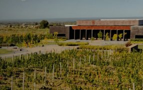 Las polémicas de ‘Chiqui’ Tapia también llegan al agro: Quién está detrás de la bodega vinculada con la AFA