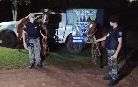 Rastreos de la Policía Rural de Misiones permitieron recuperar dos caballos robados en el Municipio de San Ignacio