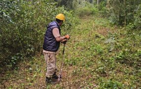Temporal de vientos: Cuadrillas reforzadas de Energía de Misiones continúan trabajando en las zonas más afectadas para recuperar el suministro eléctrico