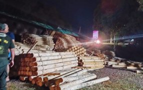 Camión cargado con madera volcó en la banquina sobre la Ruta Provincial N° 13, no se registraron personas lesionadas, únicamente daños parciales en el rodado