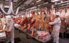 La venta de carne al exterior creció casi un 28% en valor entre los meses de; Enero y Noviembre