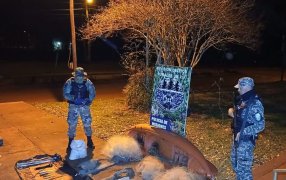 Misiones: Detectaron un presunto campamento de caza furtiva, secuestraron armas y restos de fauna protegida en el Municipio de Puerto Piray