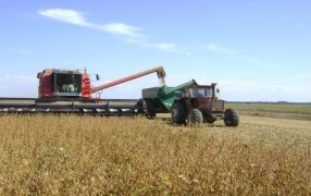 Con apuro, comenzó la cosecha de soja en la zona núcleo y hay optimismo por los primeros rindes