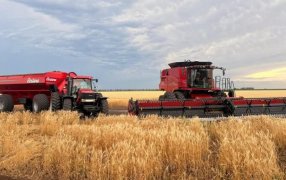 “Buenas expectativas”: La maquinaria agrícola inició 2026 con un aumento del 4,9% en los patentamientos