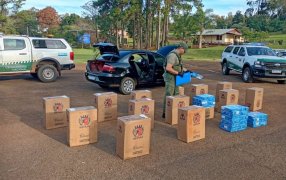 Gendarmería Nacional secuestró 14 mil paquetes de cigarrillos
