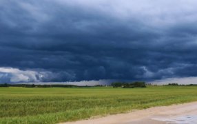 El Niño se confirma en el horizonte: Qué oportunidades y amenazas trae para el agro