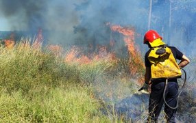 Misiones: Tras seis horas de intenso trabajo controlaron un incendio de malezas y pinar, cerca de la Aldea Poty en el Municipio de Santa Ana