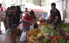 Miles de consumidores posadeños apostaron a la calidad y la variedad de los productos del interior de la provincia de Misiones en las Ferias Francas