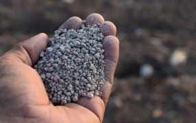 Fertilizantes: 2025 podría quedar en el podio de los años de mayor consumo en la historia argentina