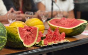 Misiones: El Municipio de Ruíz de Montoya celebra la 15° Edición  de la Fiesta Provincial de la Sandía