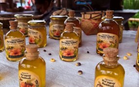 Capioví: La miel de yateí une producción, monte y cultura guaraní en la provincia de Misiones