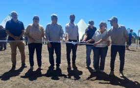 Estrés abiótico, el problema que pocos ven, pero todos sufren