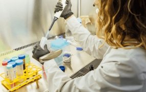 Biotecnología: Aprueban un nuevo marco regulatorio para microorganismos genéticamente modificados