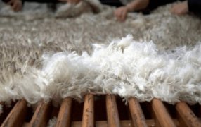 De la esquila al mundo: Una medida oficial abre más oportunidades para las exportaciones de lana