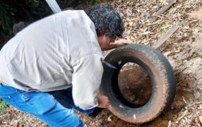 Misiones: Sin casos autóctonos de Dengue, el trabajo articulado entre Provincia, Municipios y la prevención sostenida marcan el resultado sanitario