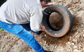 Misiones: Sin casos autóctonos de Dengue, el trabajo articulado entre Provincia, Municipios y la prevención sostenida marcan el resultado sanitario