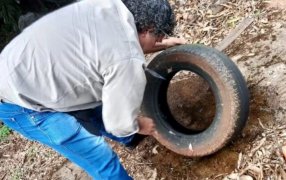 Misiones: Sin casos autóctonos de Dengue, el trabajo articulado entre Provincia, Municipios y la prevención sostenida marcan el resultado sanitario