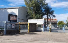 Lumilagro cambió de estrategia tras desvincular 170 empleados en 2025: “Estamos importando de China”