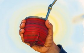 Yerba mate: El cierre del 2025 marcó un crecimiento del 7,3%, con récord histórico en exportaciones y un mercado interno en franca recuperación