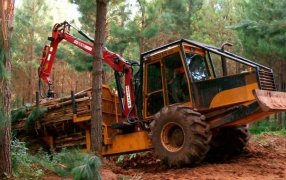 Industria de la madera: Un sector que se “amolda” y muestra señales de estabilización
