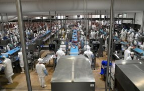 China abre su mercado a más frigoríficos argentinos, para exportarle harinas de carne, hueso y sangre