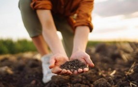 Sustentabilidad: En el campo argentino, reducir la huella de carbono ya es una “especialidad”